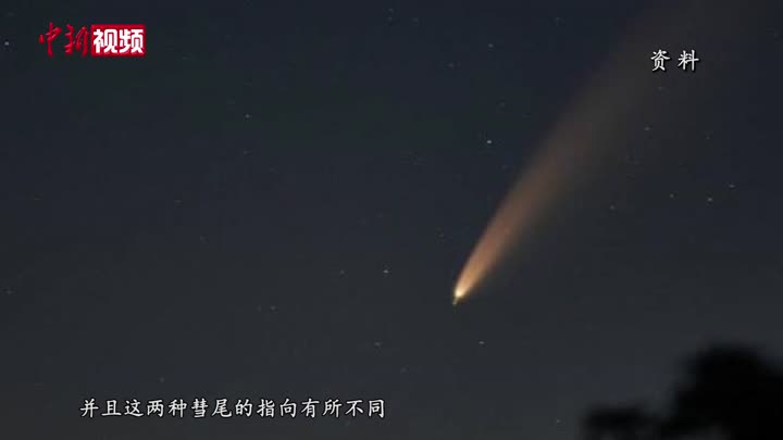 北半球上空现新彗星多处地方肉眼可观 中国新闻网