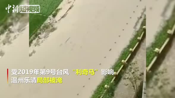 “利奇马”台风造成温州乐清局部被淹