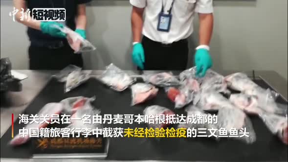 成都机场首次截获三文鱼鱼头 重13.9千克
