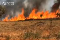 巴西热带草原地区发生火灾