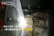 重庆一七座小货车非法装载39头猪