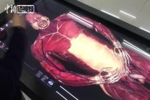 无需“真尸”教学 看3D高仿真触控“解剖”
