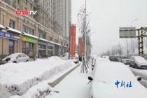 哈尔滨迎来2020首场降雪 