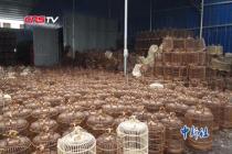 广西柳州鸟笼“触网” 年产值超千万元