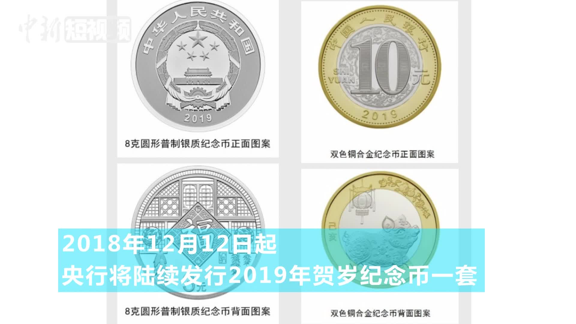 猪年贺岁3元10元纪念硬币来了-中新视频供稿系统