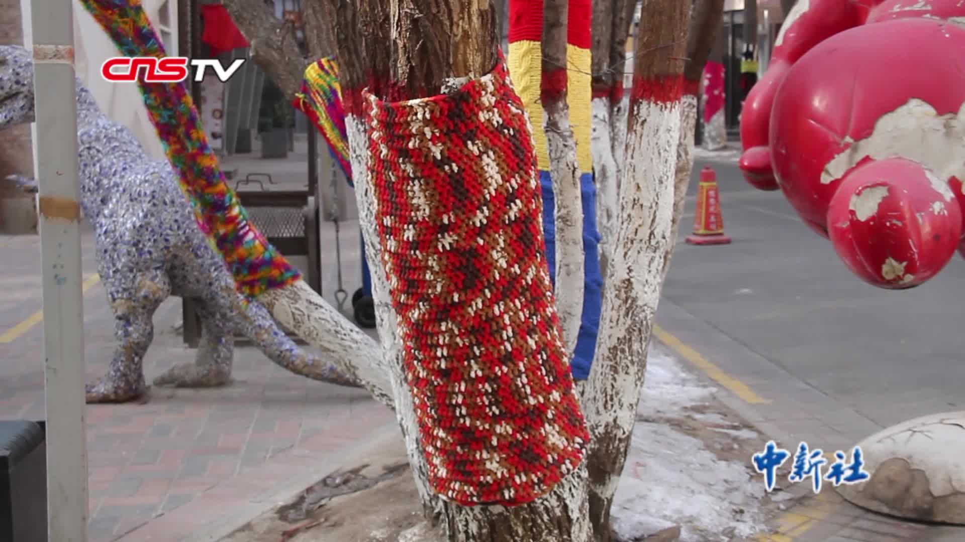 为大树穿上花毛衣创意手工编织为寒冬增一抹亮色